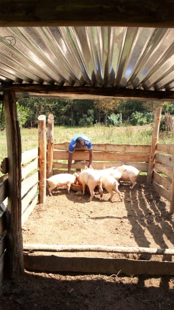 Karungi Camp Villa Rubuguli Kültér fotó